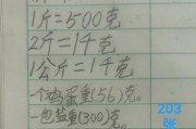 一千克等于几斤(一千克等于几斤重)
