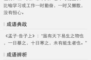 一什么十寒(一什么十寒四字成语)