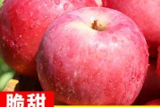 苹果授权电商(苹果中国授权的电商有哪几家)
