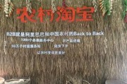 美淘村电商平台(淘特电商平台)
