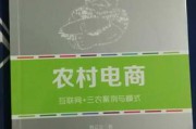 农村电商案例(农村电商案例分析论文)