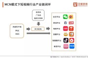 国内短视频平台排行(短视频平台收入排行)