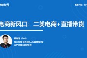 二类电商有哪些平台(一类电商二类电商三类电商)