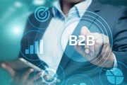 b2b电商(电商b2b是什么意思)