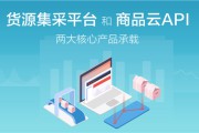 网易电商平台叫什么(网易的网购平台叫什么)