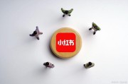 小红书网络营销推广方式(小红书网络营销存在的问题)