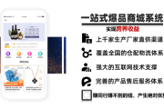 重生从电商(重生从电商开始txt)