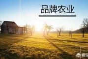 农产品怎么做电商
:在发展农产品电商的同时，如何做好农产品品牌？