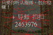 龙炎电商恢复(龙炎电商诈骗案现在怎么做)