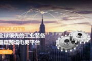 什么是垂直电商平台(互联网垂直电商平台是什么意思)