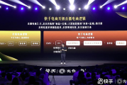 抖音电商营销(抖音电商营销平台)