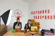 农产品跨境电商(农产品跨境电商数据分析)