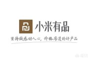 电商背景
:当前背景下，小米有品做社交电商能成功吗？