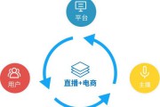 直播电商是什么(直播电商是什么为什么怎么做)