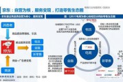 新型电商(新电商)