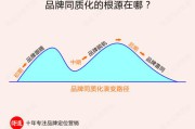 品牌定位策划(一个品牌的策划方案)