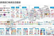企业跨境出口电商平台(跨境电商企业对企业出口监管试点)