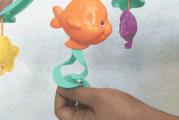 海马短视频(海马的视频)