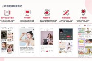 小红书运营规划(线上运营规划书)