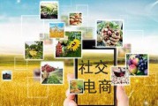 传统电商和社交电商的区别(传统电商和社交电商的区别是什么)