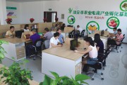 海南农产品电商(海南农产品电商发展局限性)