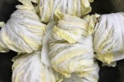 菜包的做法视频(汕尾菜包粿的做法视频)