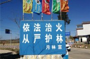 森林防火宣传视频(森林防火宣传视频独白)