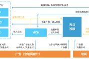 容易变现的短视频定位(情感类短视频容易变现吗)