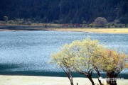 15秒风景短视频无水印(春天风景短视频15秒下载)