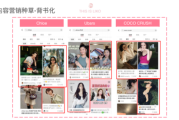 小红书品牌营销优秀案例(品牌营销的优秀案例)