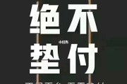 领航电商平台入会费(集团领航平台产品功能费)