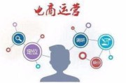 电商平台推广(怎么在电商平台推广告)