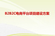 电商平台建设(电商平台建设实施方案)