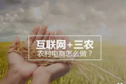 什么是农村电商(什么是农村电商物流上行)