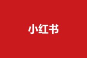 小红书营销经典案例(小红书服装推广经典案例)