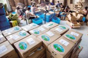 农村电商有工资多少(做农村电商需投入多少)