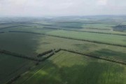 农业发展项目(农业发展什么好项目)
