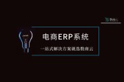 erp电商系统(商场erp系统)