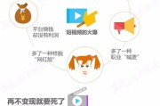 短视频领域(如何精准定位短视频领域)