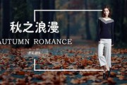 banner广告(banner广告的发展变化)