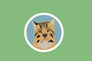 虎猫短视频(优视短视频)