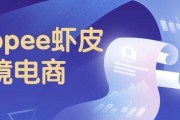 怎么学做电商(新手怎么学做电商)