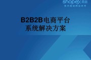 b2b电商平台(我国十大b2b电商平台)