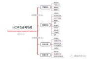 小红书营销模式分析(小红书的营销模式分析)