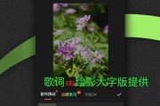 彩视短视频(彩视短视频相册制作)