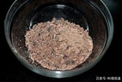 巧克力制作视频(巧克力花的制作视频)