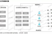经营模式有哪几种(公司运营模式有哪几种)