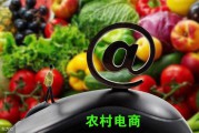 农村电商(农村电商营销策略)