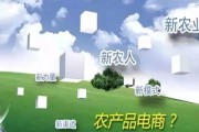 新手怎么做电商卖农产品(新手做电商卖什么好)