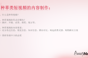 短视频创作经验(短视频智能创作平台)